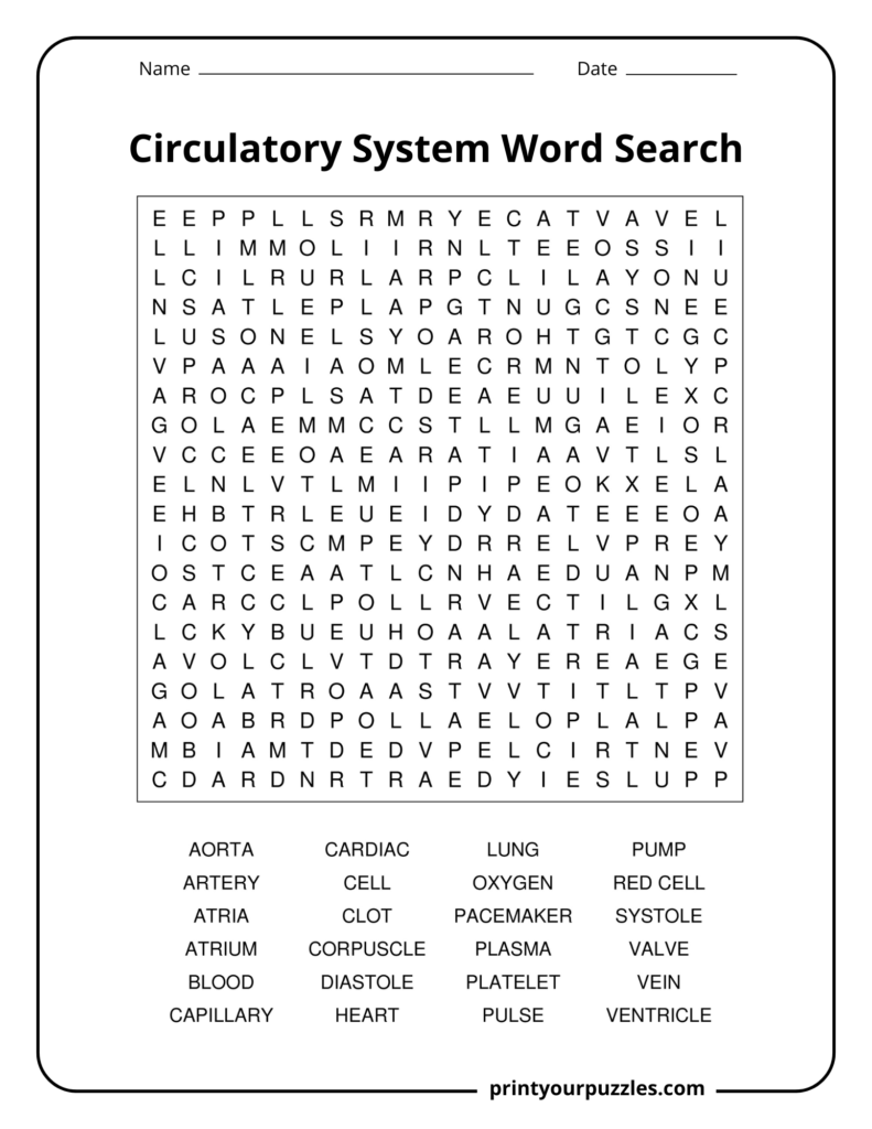 Hard circulatory system word search featuring advanced cardiovascular terms like aorta, ventricle, platelet, and plasma.
