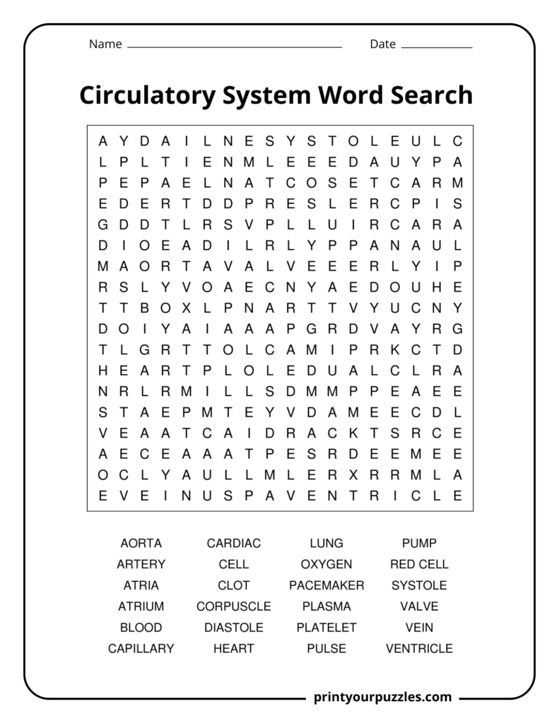 Medium circulatory system word search with essential heart and blood-related terms including artery, pulse, and valve.