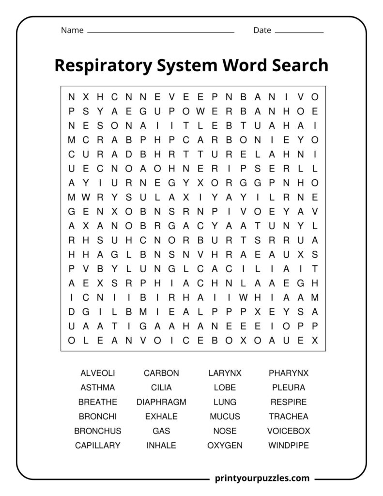 Medium respiratory system word search with key breathing terms including lungs, oxygen, trachea, and inhale.
