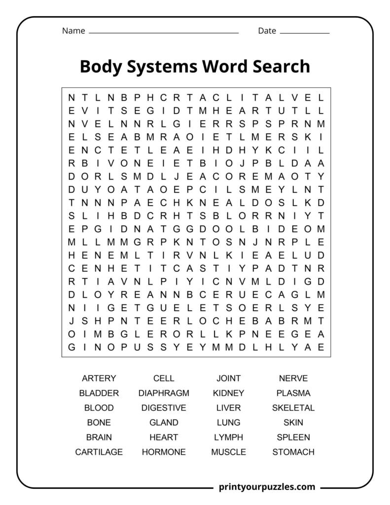 Hard body systems word search featuring advanced anatomy terms like cartilage, diaphragm, lymph, and stomach.