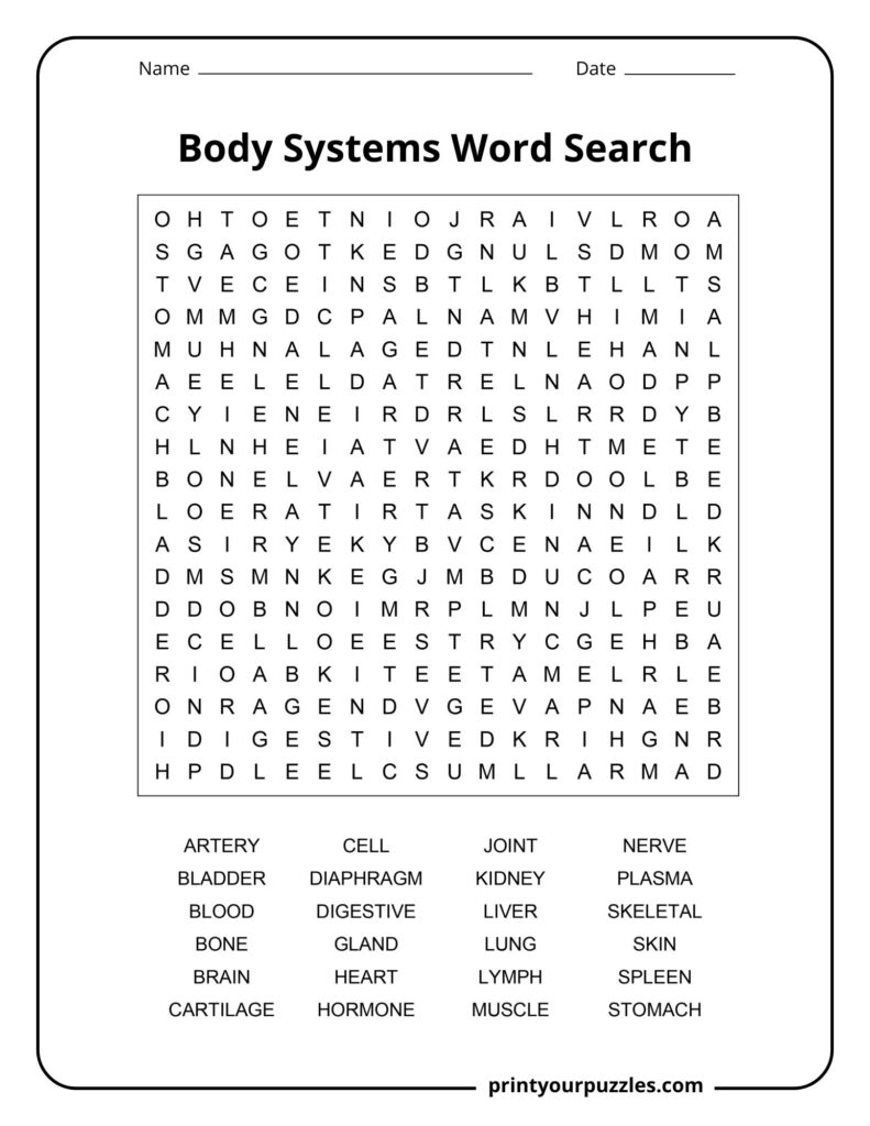 Medium body systems word search with anatomy terms including heart, muscle, bone, gland, stomach, and kidney.