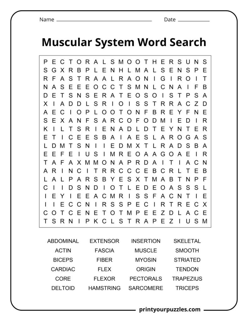 Hard muscular system word search featuring advanced anatomy terms like sarcomere, myosin, trapezius, and fascia.