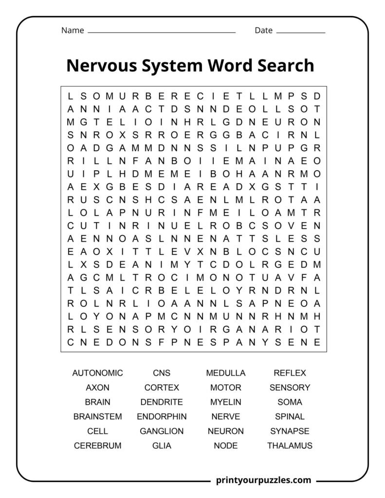 Hard nervous system word search featuring advanced neuroscience terms like synapse, thalamus, myelin, and cortex.