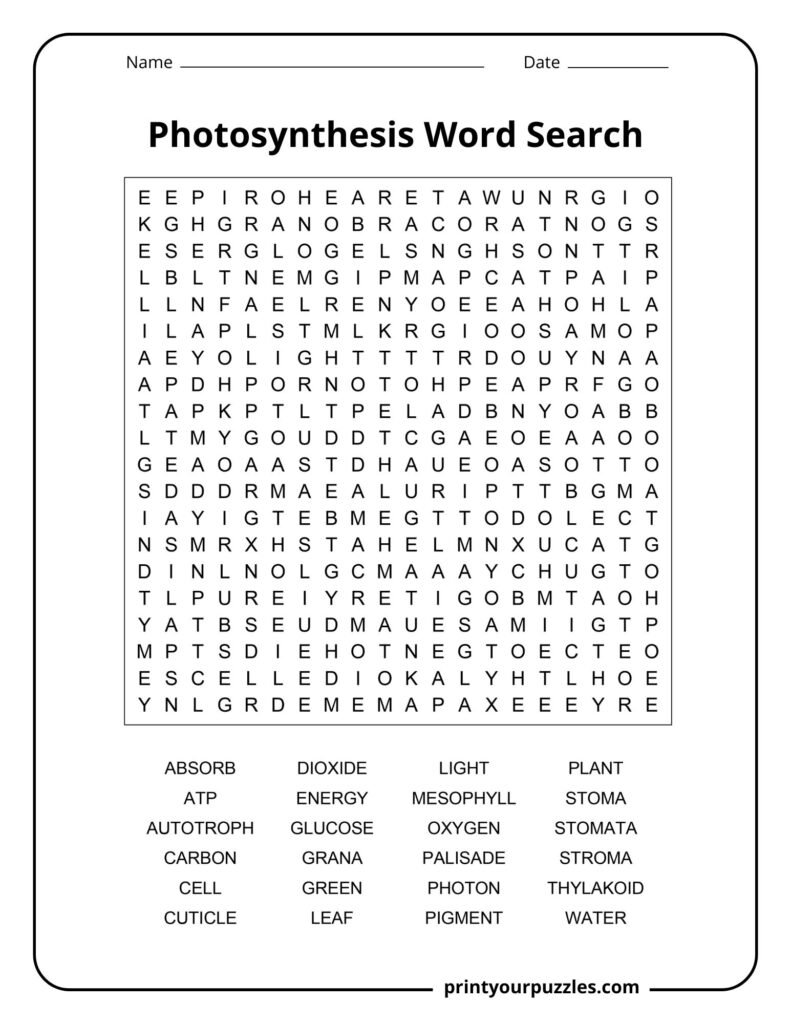 Hard photosynthesis word search featuring advanced plant biology terms like thylakoid, mesophyll, grana, and ATP.