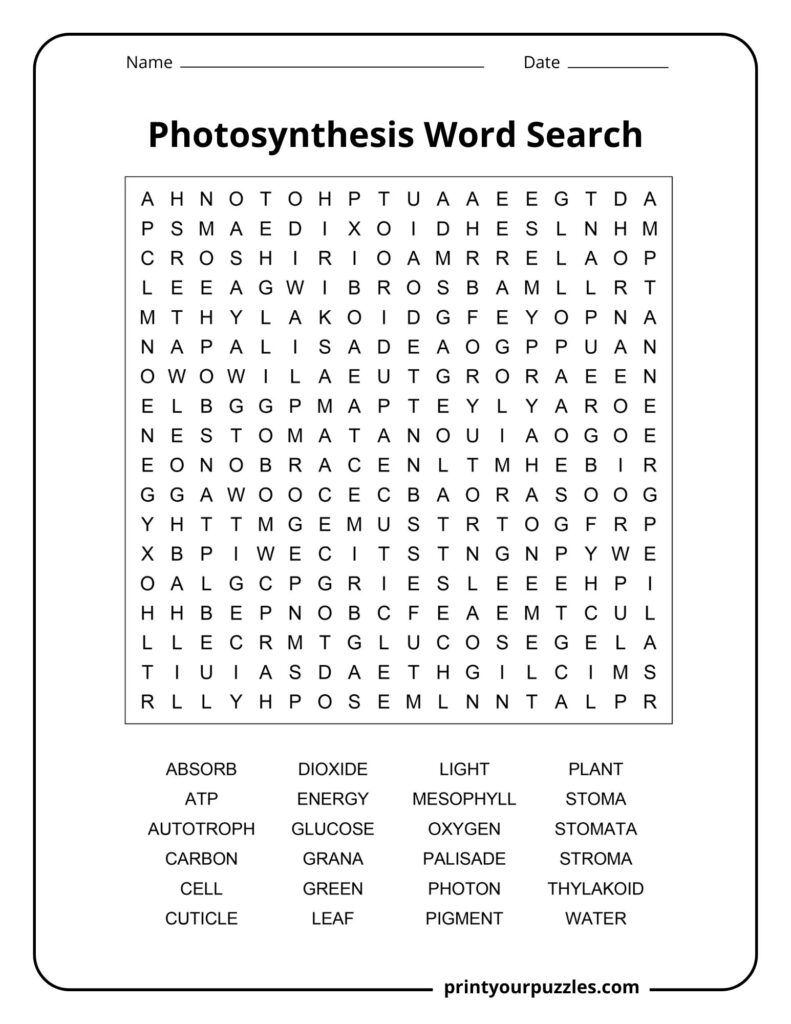 Medium photosynthesis word search with key plant science terms including glucose, oxygen, chlorophyll, and leaf.