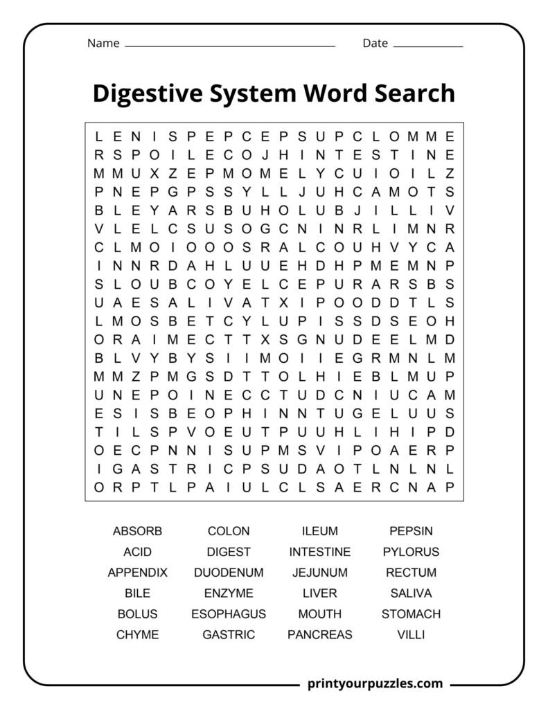 Challenging digestive system word search puzzle featuring a large letter grid and anatomy-related vocabulary list.