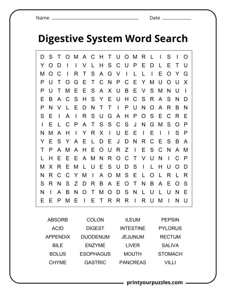 Medium-difficulty digestive system word search featuring an organized letter grid and key anatomy terms to locate.