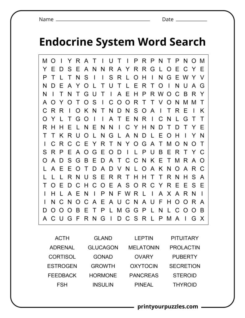 Challenging endocrine system word search featuring a dense letter grid and hormone-related vocabulary for advanced learners.