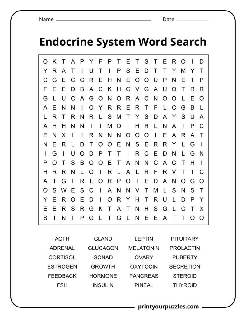 Medium-level endocrine system word search with an organized letter grid and a list of hormone and gland terms to locate.