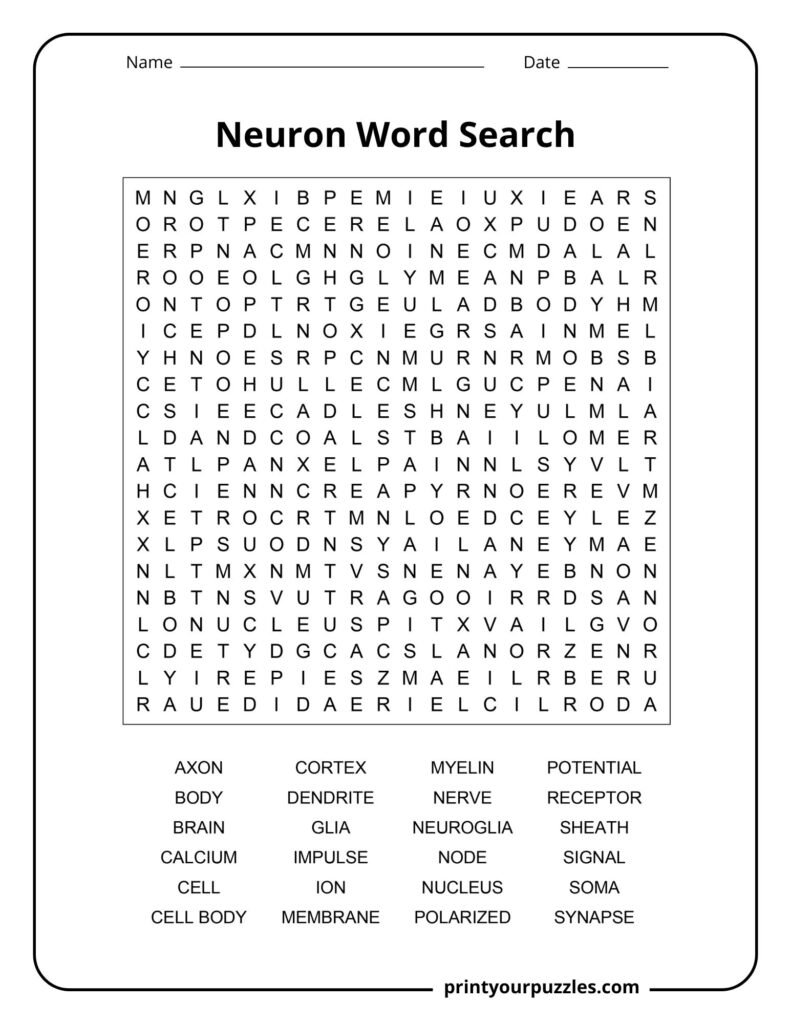 Challenging neuron word search featuring neuroscience terms like axon, dendrite, synapse, cortex, and myelin sheath.
