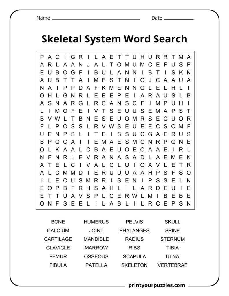 Challenging skeletal system word search puzzle featuring a dense letter grid and key bone-related vocabulary for advanced learners.