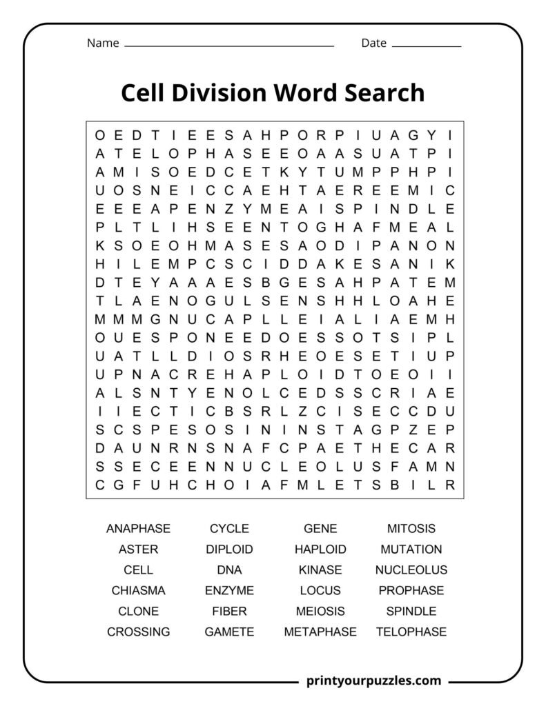 Hard cell division word search printable with 24 biology terms including mitosis, meiosis, and DNA.