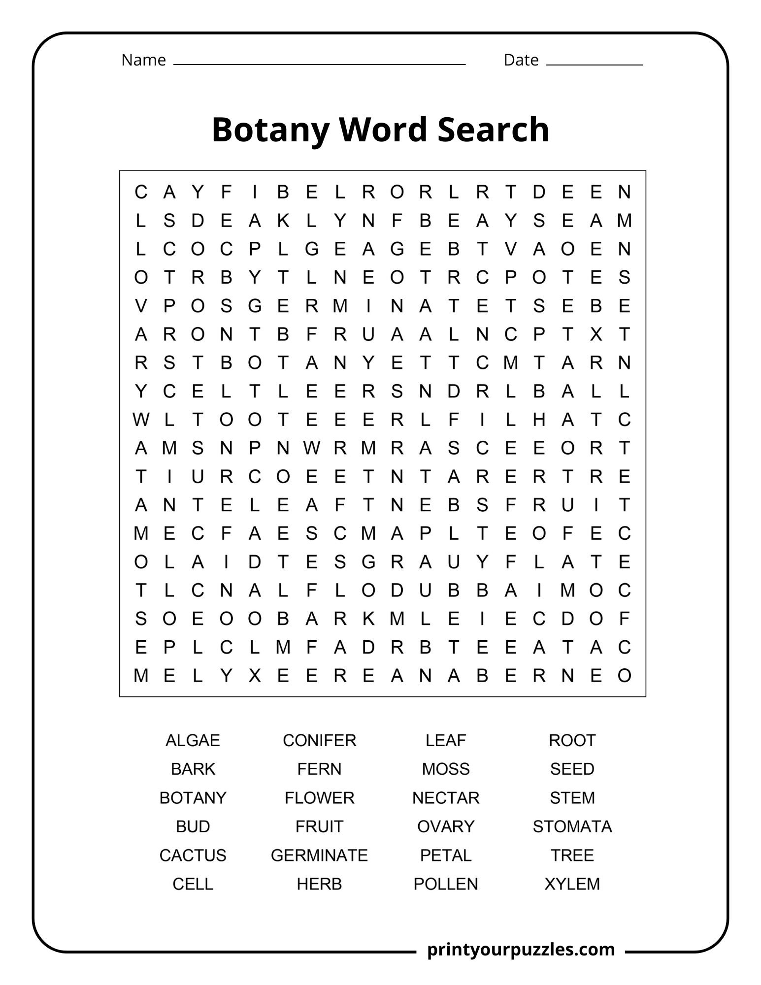 Medium botany word search printable with an 18×18 letter grid and 24 plant vocabulary terms.