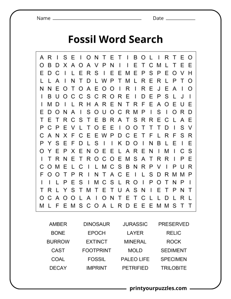 Hard fossil word search puzzle with 24 paleontology terms including dinosaur, trilobite, amber, fossil, and sediment.
