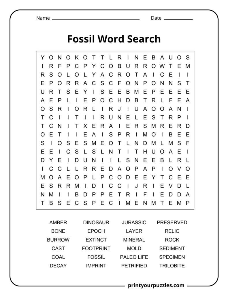Medium fossil word search puzzle with 24 fossil terms including dinosaur, Jurassic, bone, amber, relic, and footprint.